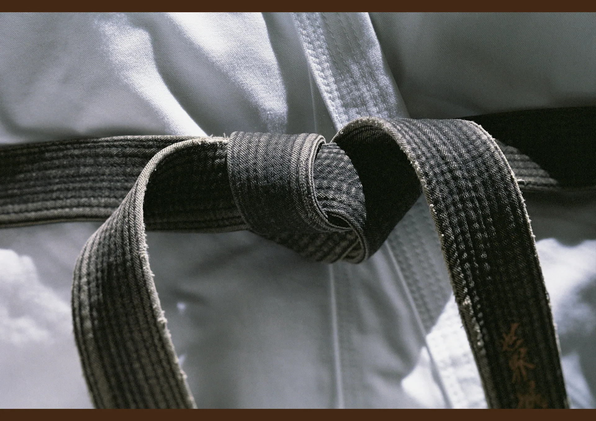 ShoDan ! L’aboutissement ou le commencement ?