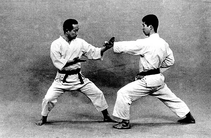 Qu'est-ce que le Bunkai ?