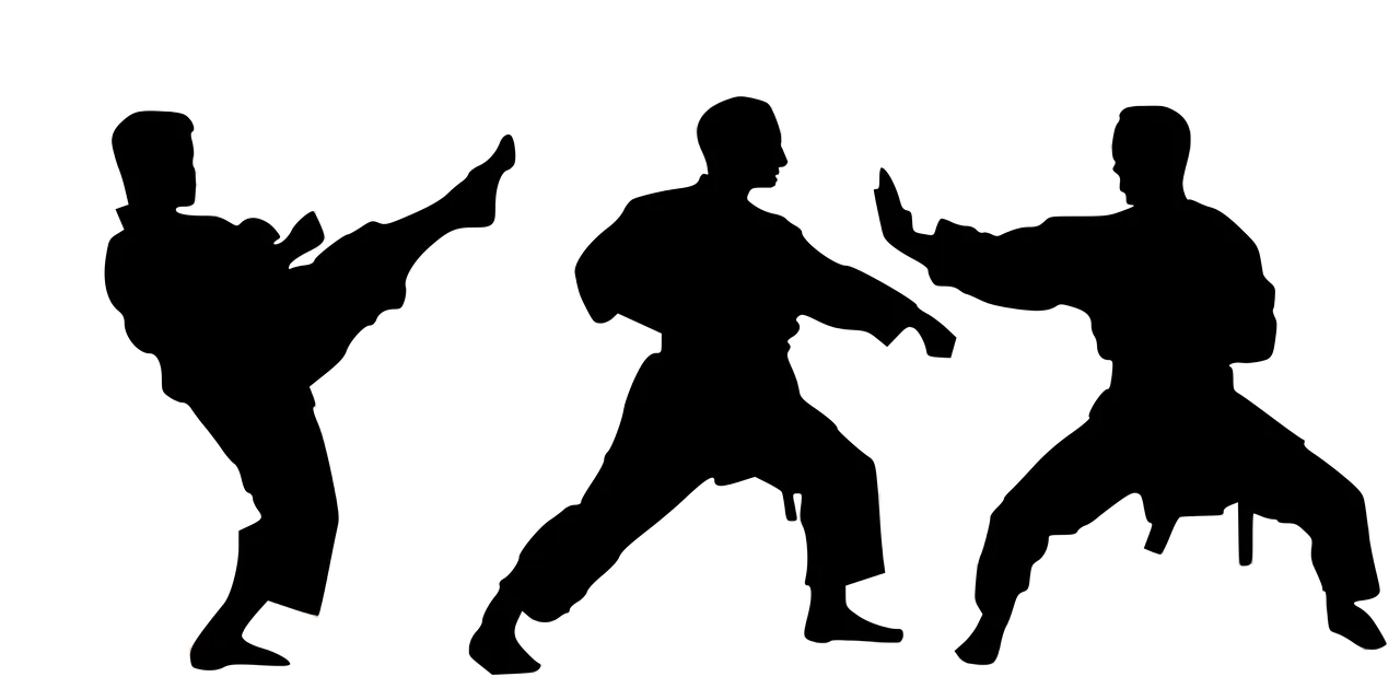 Le Kata : L'Art de la Maîtrise