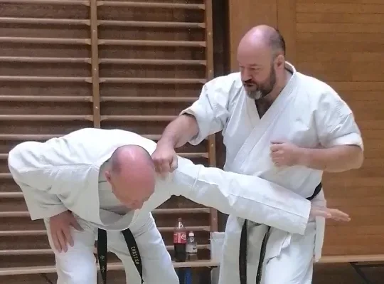 Stage avec Iain Abernethy