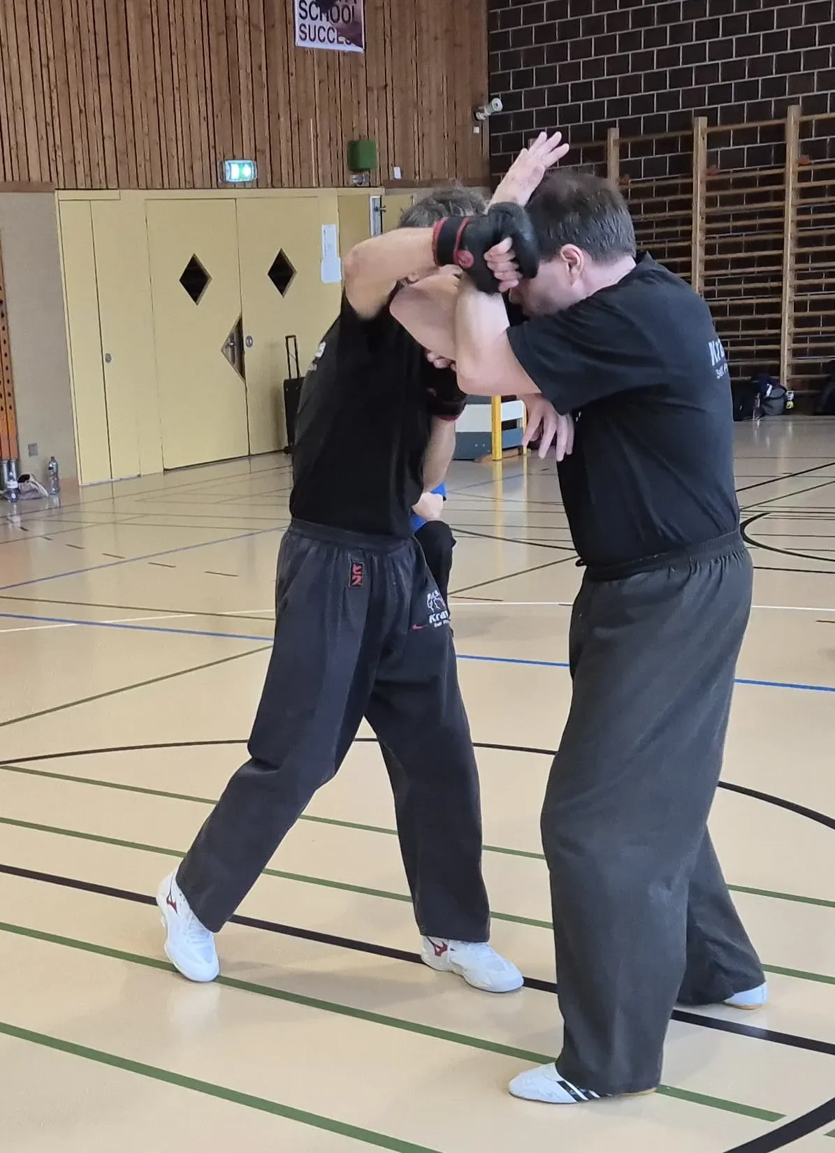 Stage Krav Maga Romandie 2026